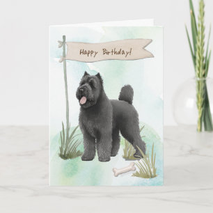 Carte Bouvier des Flandres Élevez un chien sous signe d'