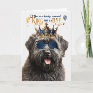 Carte Bouvier Dog King pour une journée d'anniversaire a
