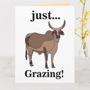 Carte Bovin Zébu Vache Animal