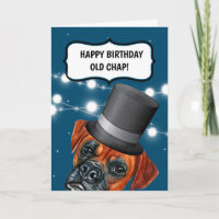Boxer chien portant chapeau haut British vieux hum