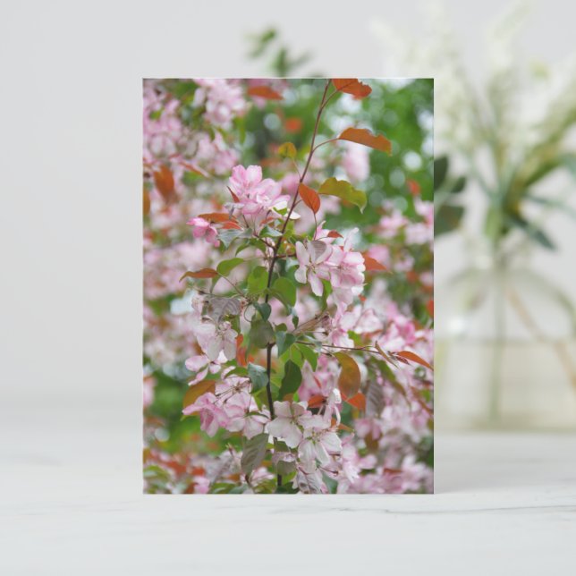Carte Branche délicate avec fleurs pommier (Debout devant)