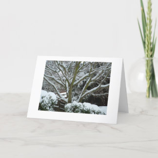 Carte Branches blanches