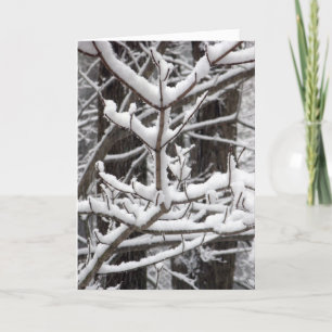 Carte Branches couvertes de neige