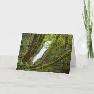 Carte Bridal Veil