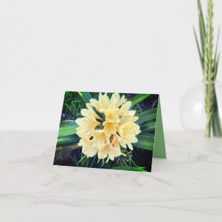 Carte Bright Blooms Card 
