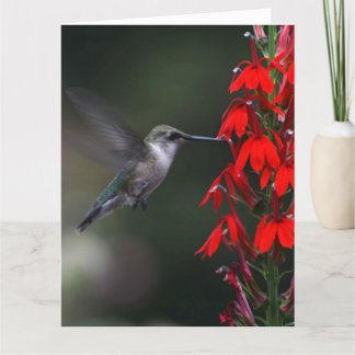 Carte Brighten someone's day with this lovely card !!