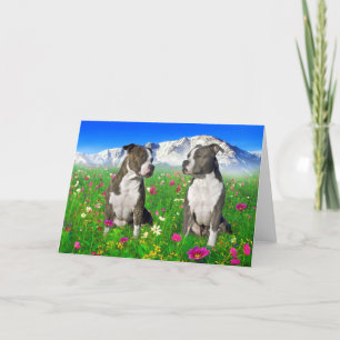 Carte Brindle & Blue Staffordshire & Pit Bull Dogs