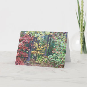 Carte Brister's Hill, Concord MA