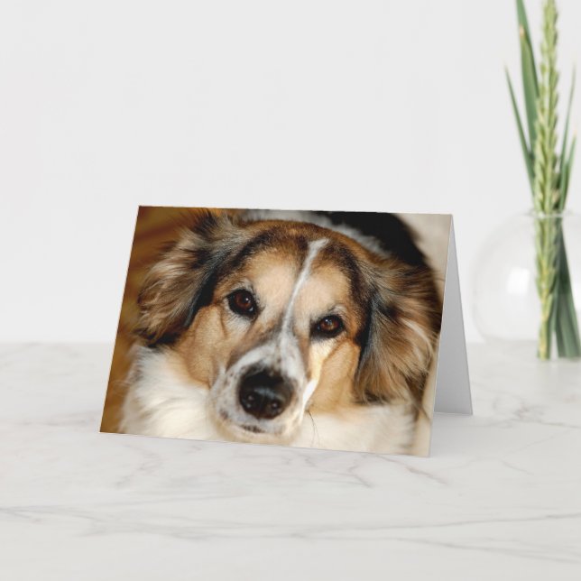 Carte Bristol (Devant)