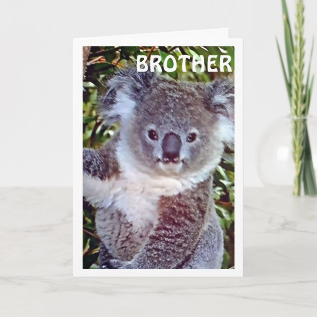CARTE BROTHE THIS "KOALA BIRTHDAY CARD IS JUST FOR YOU (Devant)