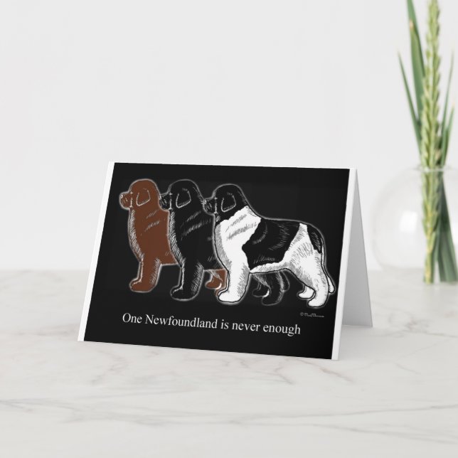 Carte Brown Black and Landseer Newfoundland (Devant)