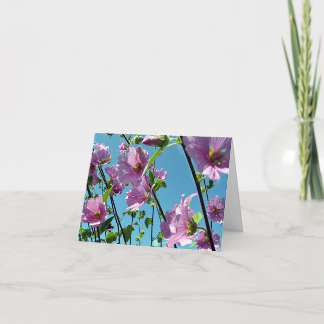 Carte Bruant des arbres (Lavatera arborea) (Devant)