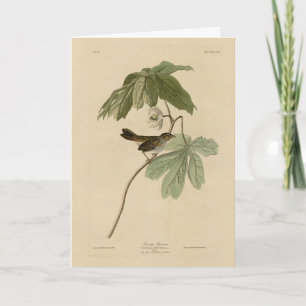 Carte Bruant des marais des oiseaux d'Amérique d'Audubon
