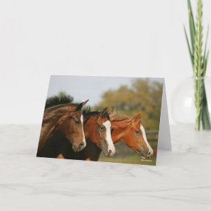 Carte BTtrois quarts de chevaux en tête