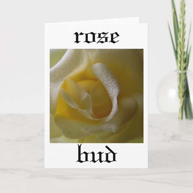 Carte Bud rose (Devant)