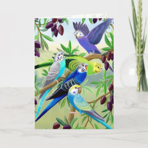 Carte Budgie Parakeets in Olive Tree Greeting Card