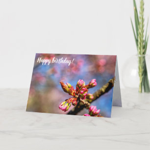 Carte Buds Sakura Cherry Tree. Début Du Printemps