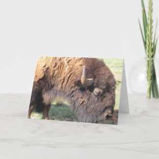 Carte Buffalo