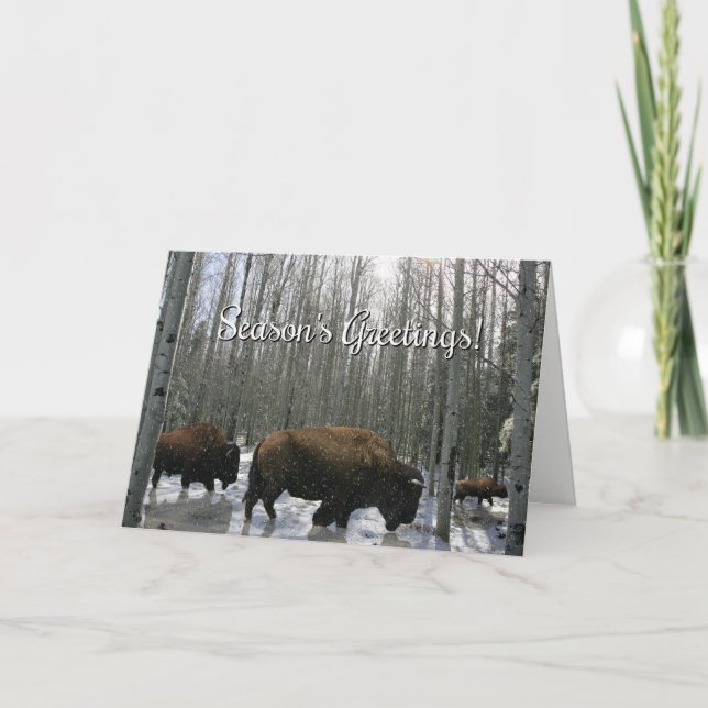 Carte Buffalo Bonnes Fêtes amérindiennes (Devant)