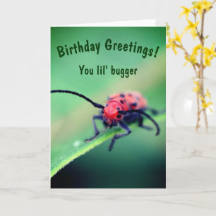 Carte Bug Avec Attitude Mignonne Anniversaire 