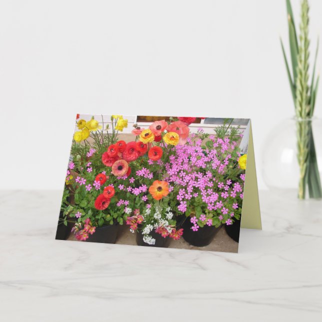 Carte Bulbes de printemps Rannunculus fleurs fleurs (Devant)