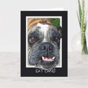 Carte Bull Dog Birthday humor