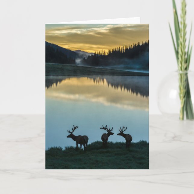 Carte Bull Elks Silhouetté Poudre Lac Sunrise (Devant)