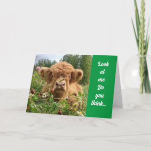 Carte BULL EST SÉRIEUX ET DIT "HEUREUX 60ème ANNIVERSAIR