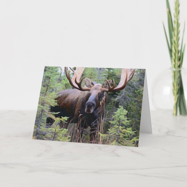 Carte Bull Moose (Devant)