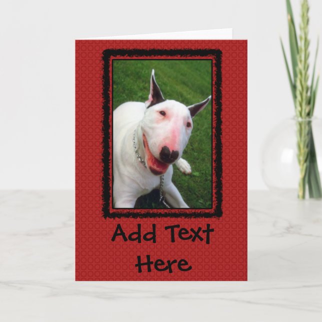 Carte Bull-terrier anglais (Devant)