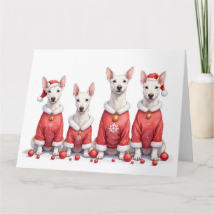 Carte Bull Terrier Robe de Noël Chapeau de Père Noël