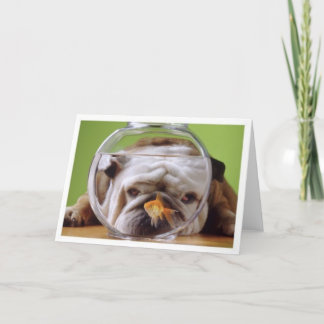 Carte Bulldog anglaise