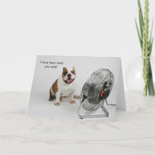 Carte Bulldog Birthday card