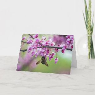 Carte Bumblebee sur les fleurs de Redbud