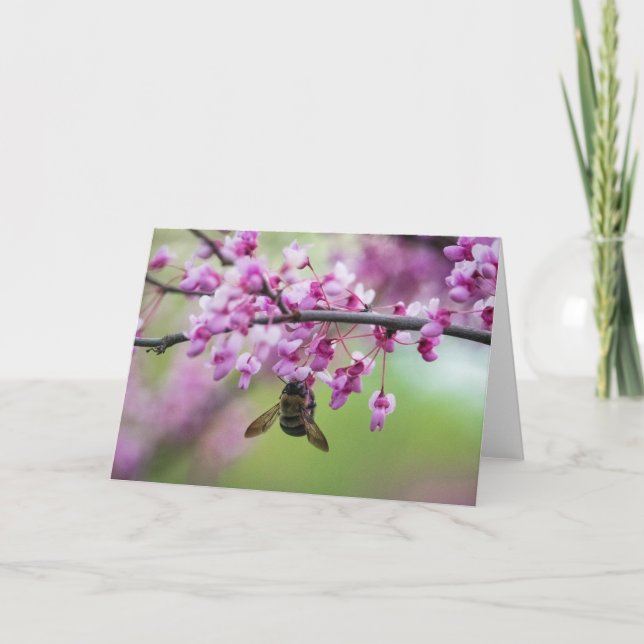 Carte Bumblebee sur les fleurs de Redbud (Devant)