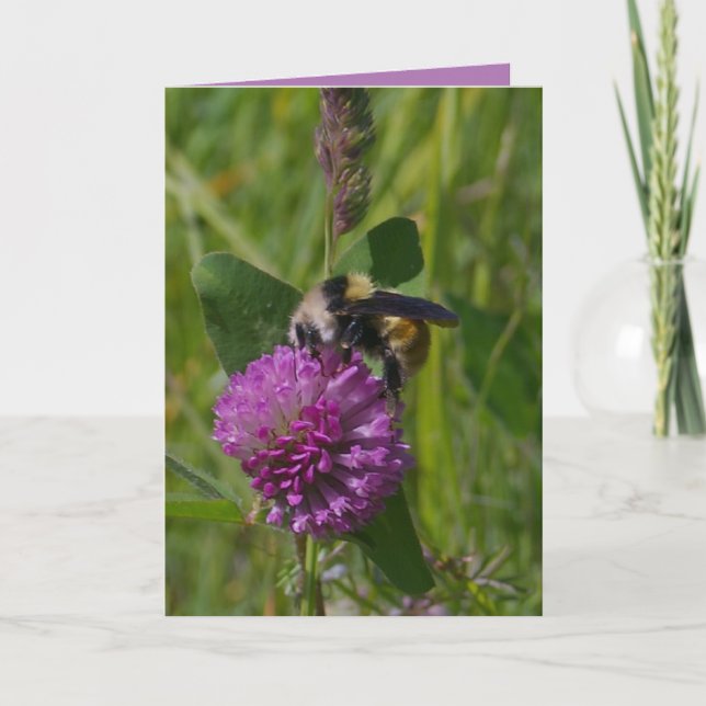 Carte Bumblebee, trèfle violet, scène naturelle, image r (Devant)