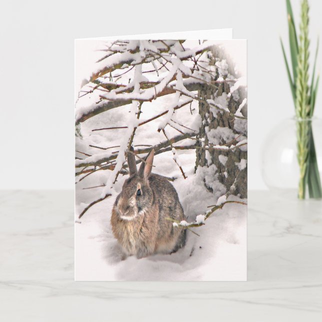 Carte Bunny à la recherche d'un abri (Devant)