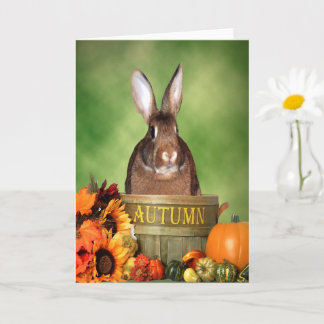 Carte Bunny d'Halloween assis dans un panier en bois d'a