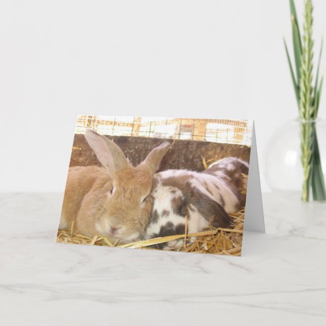 Carte Bunny Love (Devant)