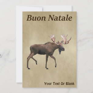 Carte Buon Natale - Bull Moose Sur Ancien Papier