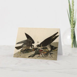 Carte Buse à pattes géantes des oiseaux d'Amérique d'Aud