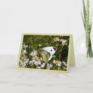 Carte Butterfly Greeting :Card