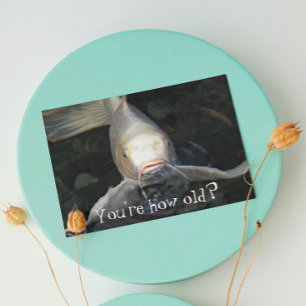 Carte Butterfly Koi Photo Funny Birthday