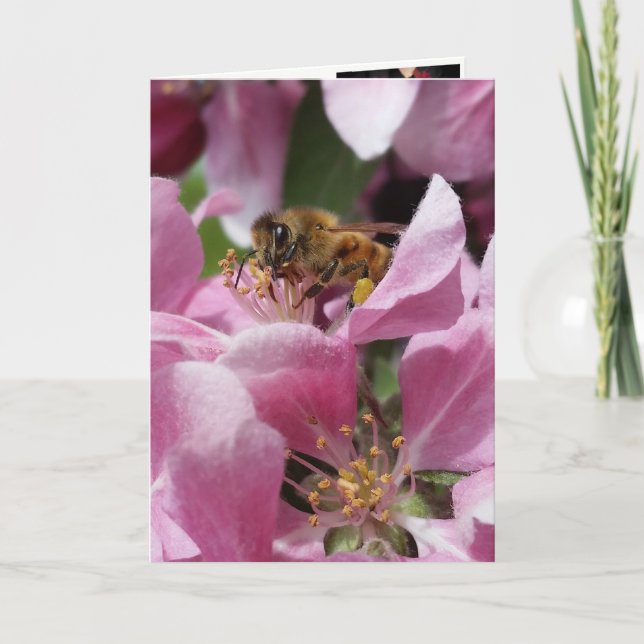 Carte Buzy Bee Belated Anniversaire ou Occasion (Devant)