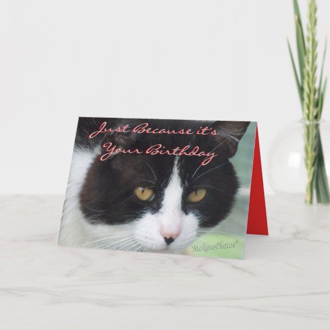 Carte BW&MouseBday-personnaliser (Devant)