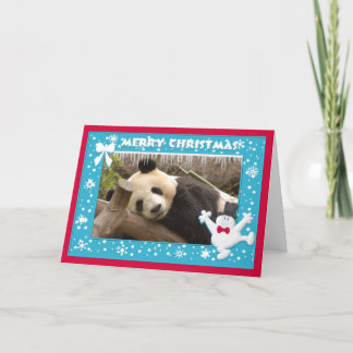 Carte c-panda-278-b