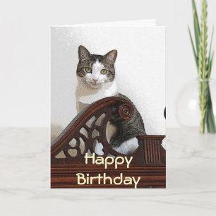 Carte CA anniversaire Kitty