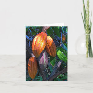 Carte Cacao hawaïen