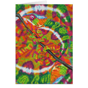 Carte cachée de caméléon