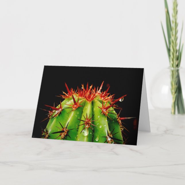Carte Cactus (Devant)